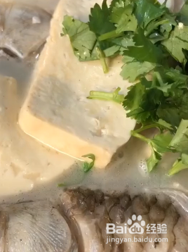 怎样炖鲫鱼豆腐汤呢
