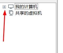 虚拟机如何重命名LAN区段