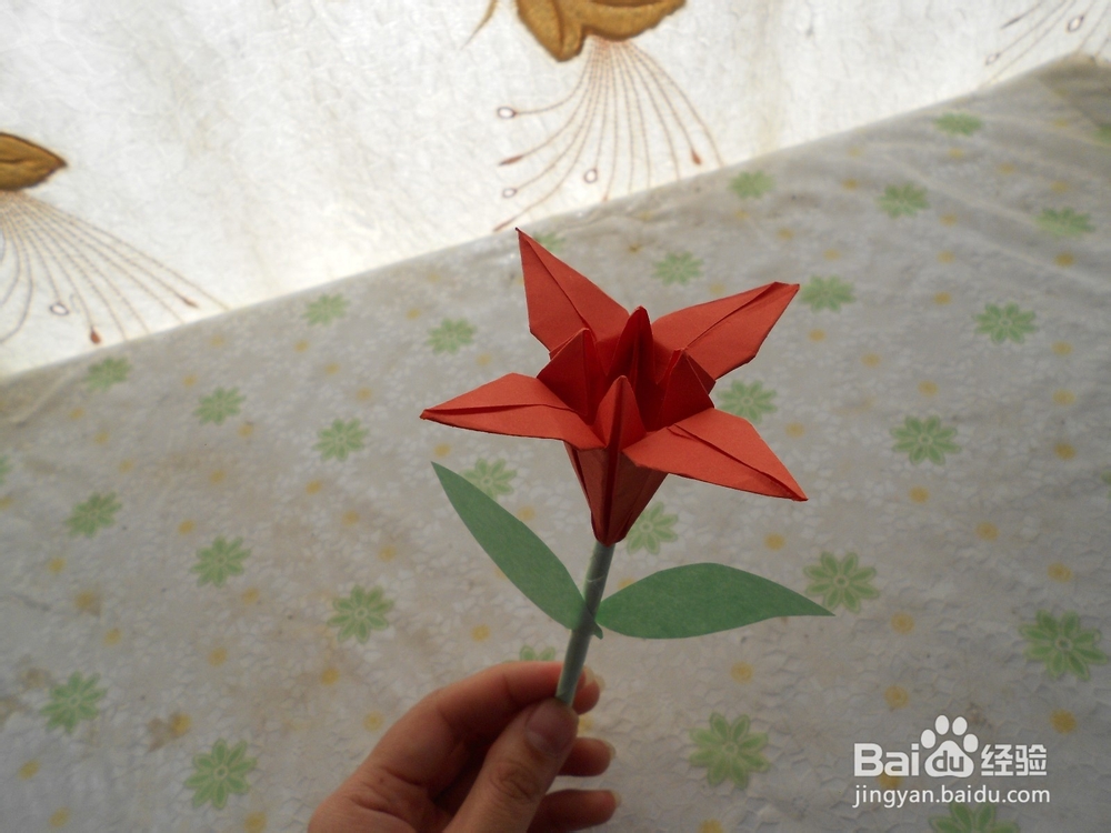 百合花是如何折的