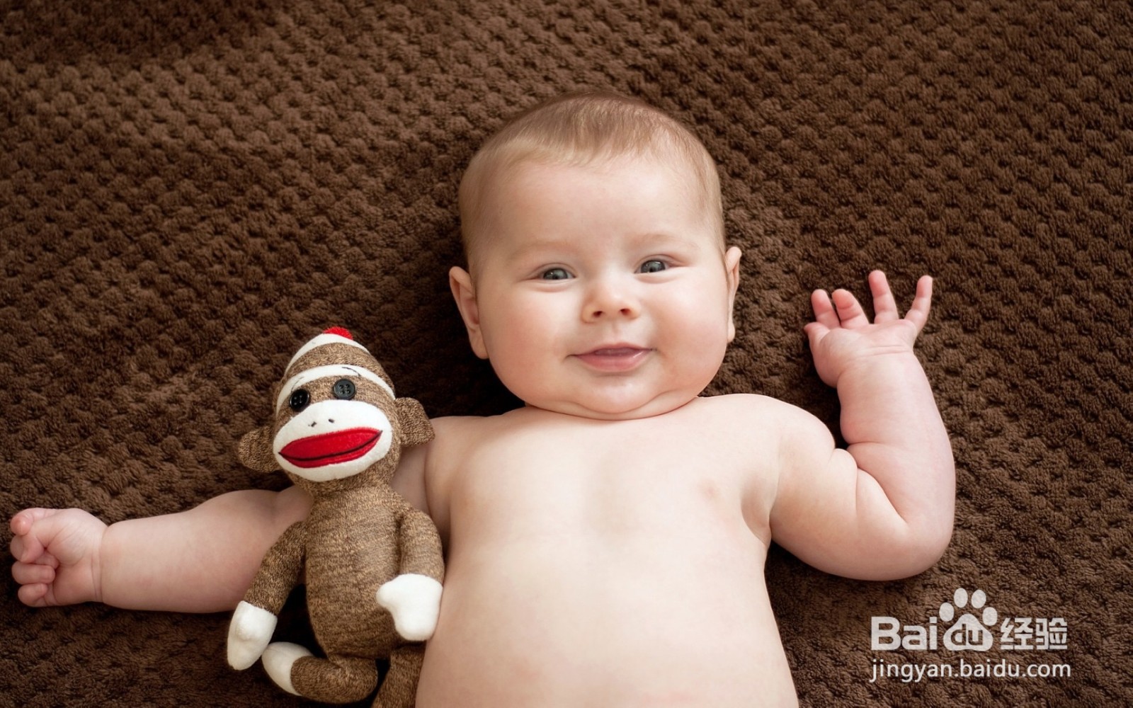 哪些玩具适合给婴儿玩？