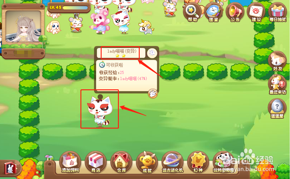 奥比岛中的lady喵喵怎么获得