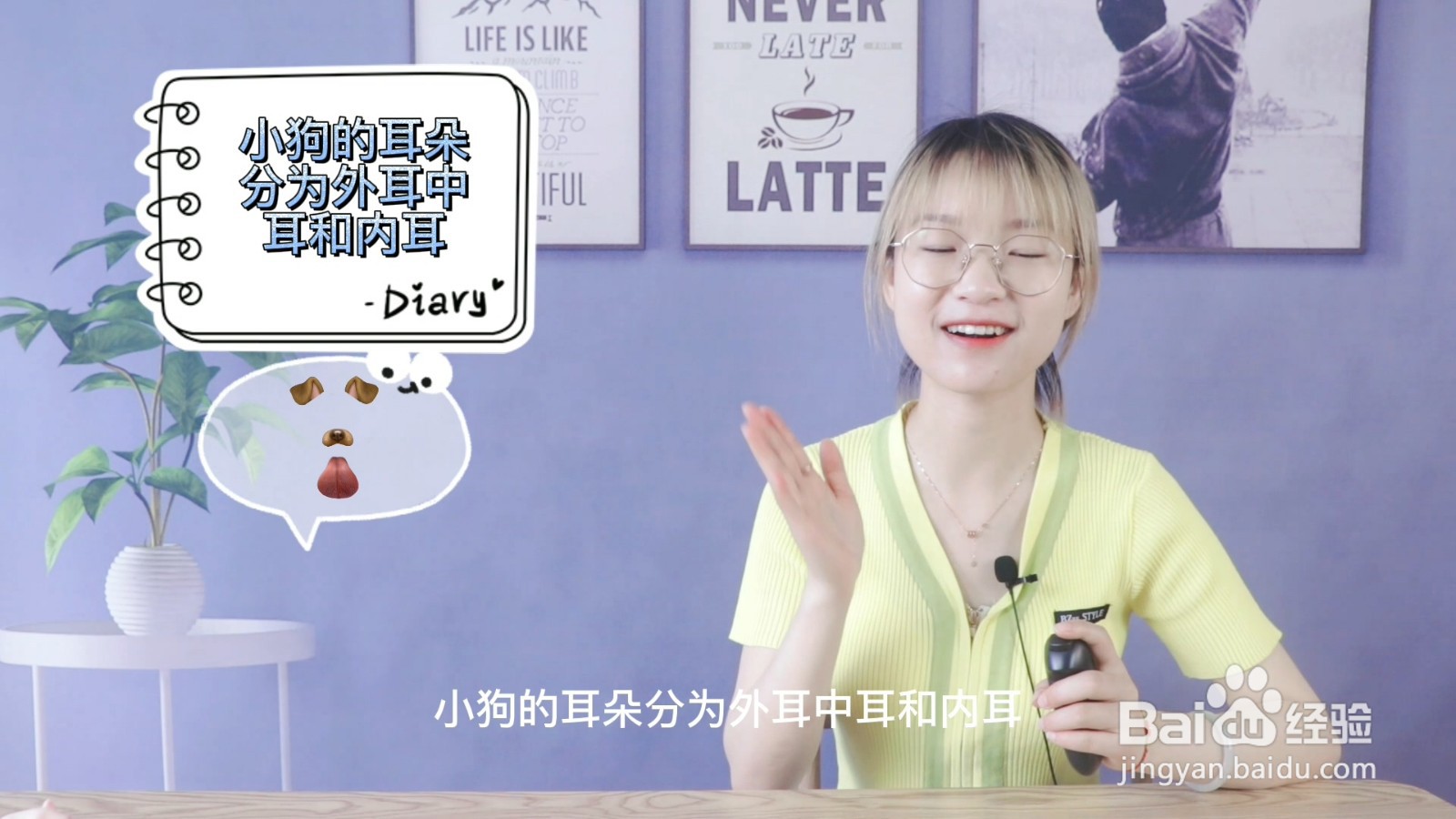 小狗的耳朵有什么特点和作用