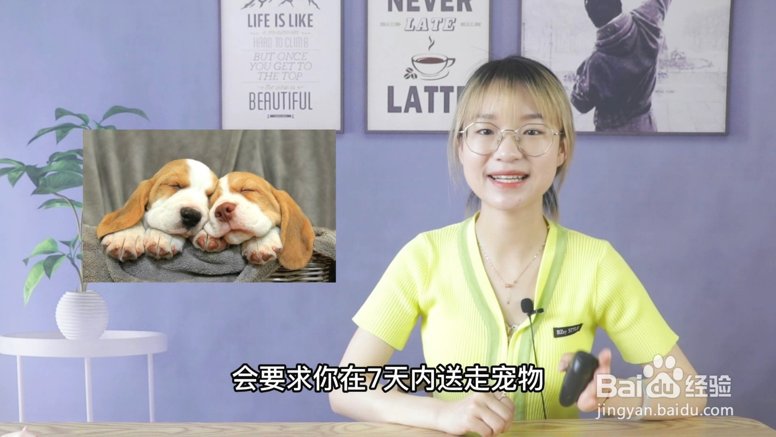 大学养宠物会被记过吗