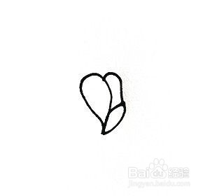 玫瑰花的简笔画