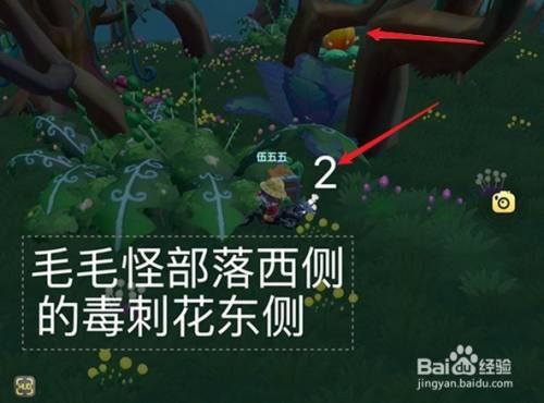 摩尔庄园7月日黑森林宝箱位置在哪 百度经验