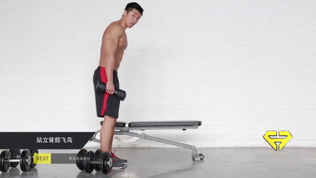 男士增肌训练-背部进阶训练怎么做