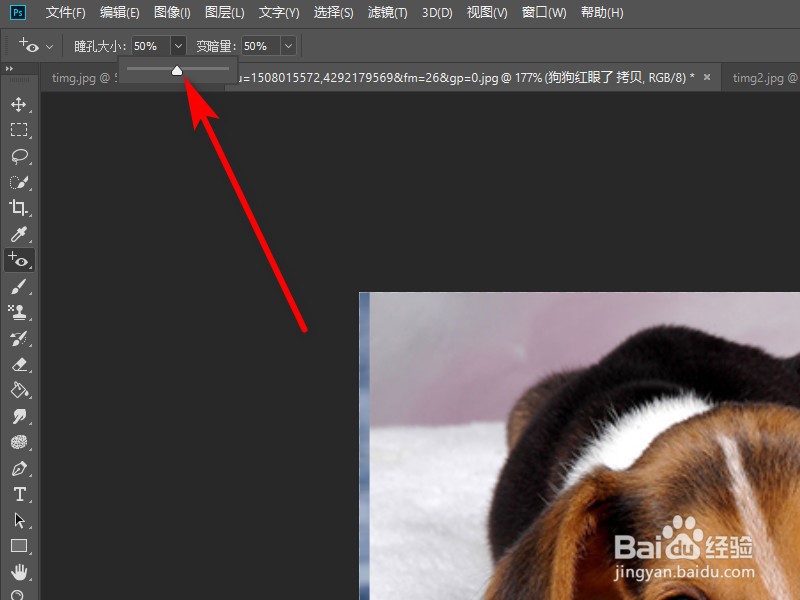 Photoshop怎么使用红眼工具