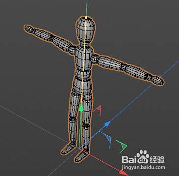 C4d参数对象人形素体的基本用法 百度经验