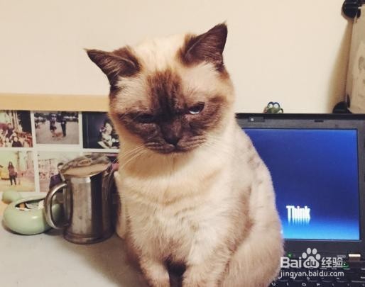 早餐应该怎样选择