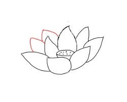 简笔画---怎么画荷花