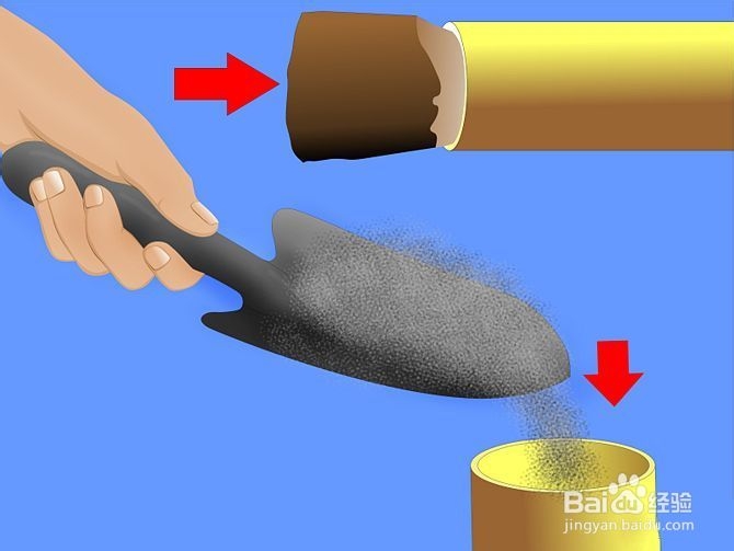 如何让竹子弯曲而不折断