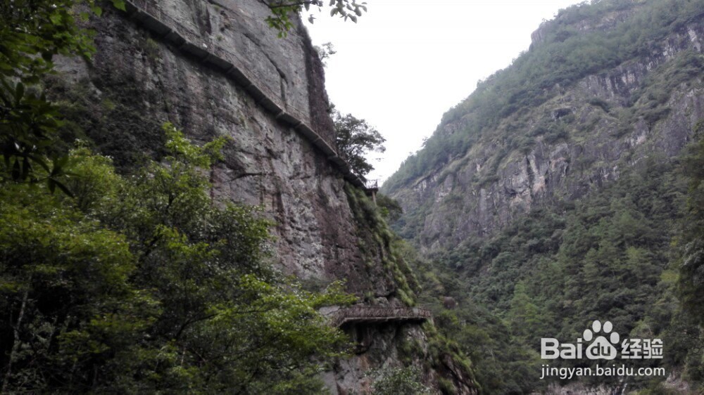 如何在旅游中品尝美食