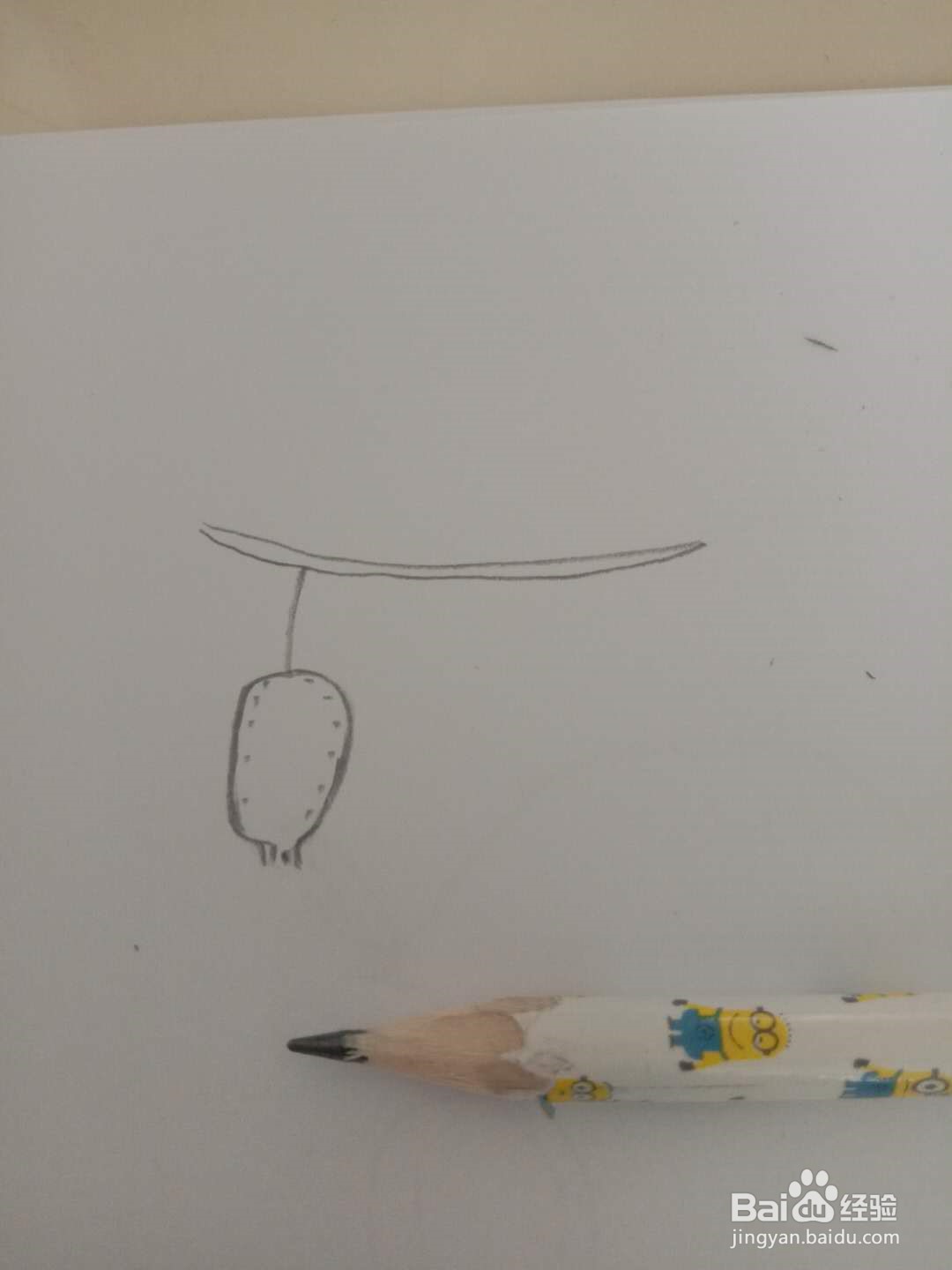 简笔画 如何画猕猴桃