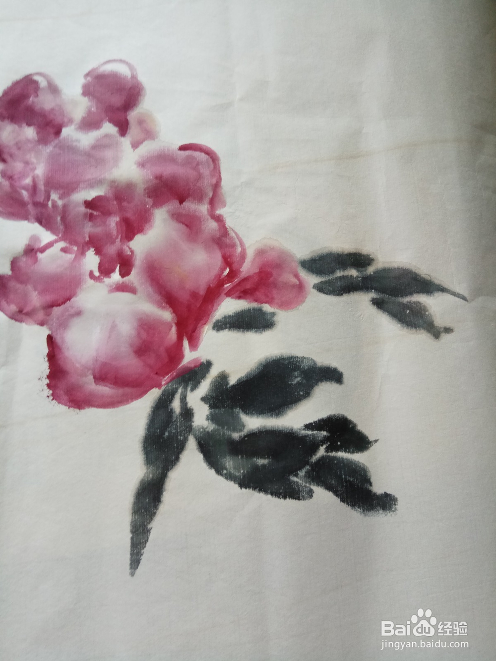 半开折枝牡丹的写意画法