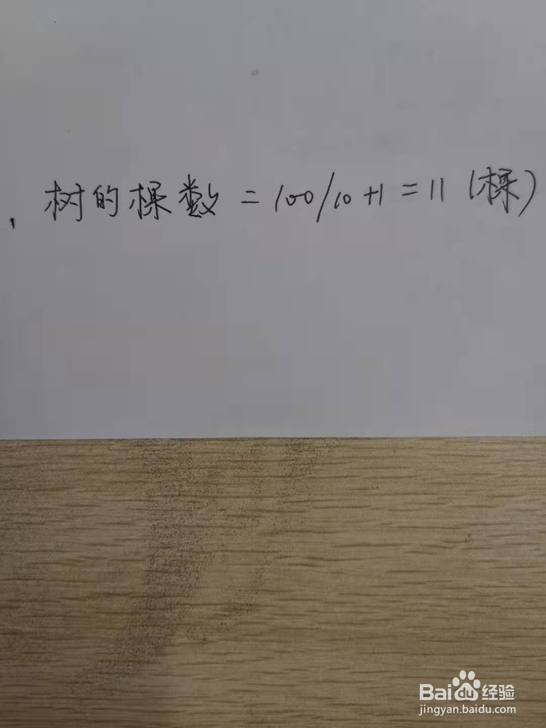小学数学之种树问题