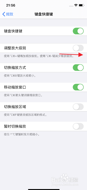 iphone11怎么开启缩放调整放大级别