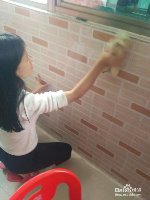 如何去除墙壁上的霉菌？