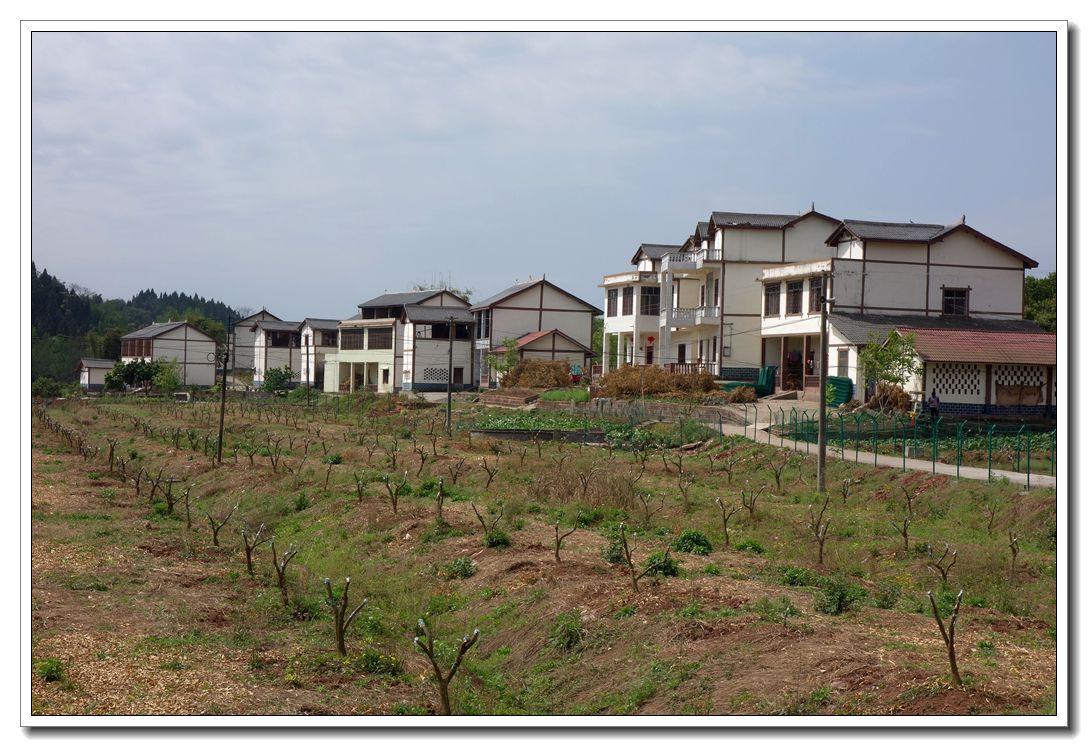 农村人居环境整治内容是什么