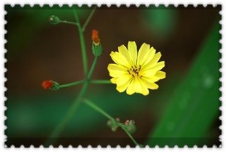 平凡人如何做成不平凡的事