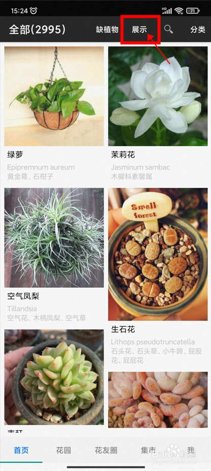【爱花草】设置首页花卉展示的样式