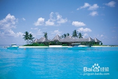 如何延缓大脑衰老