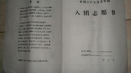 初中入团志愿书格式