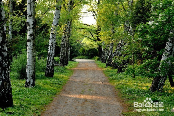 如何去除图片上的水印链接和文字