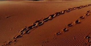 沙漠中取水之日光蒸馏器