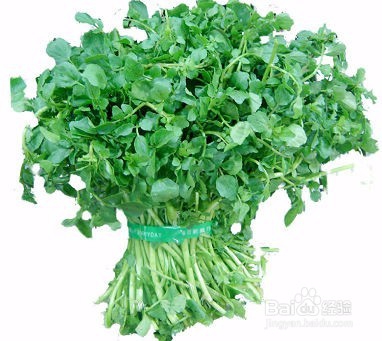 6种平民食物 让你拥有顶级保养效果