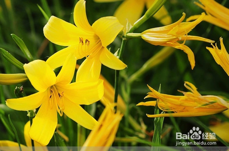 有助于提高记忆力的食物（一）