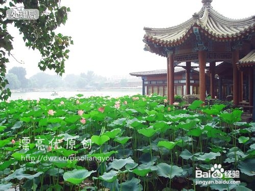 教你怎样用PS美化照片