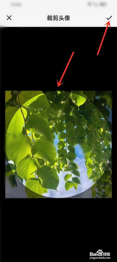 七月影视大全app头像如何设置