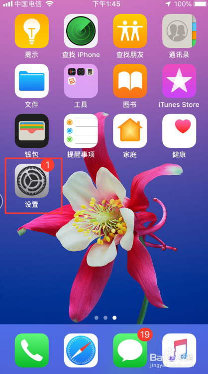苹果手机怎么开启个人热点？