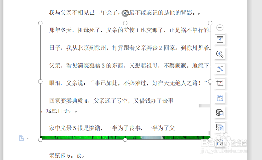 Word中图片显示不全怎么办