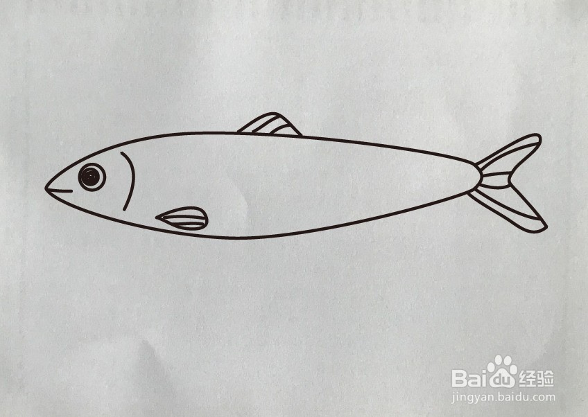 鱼简单画法 沙鱼图片
