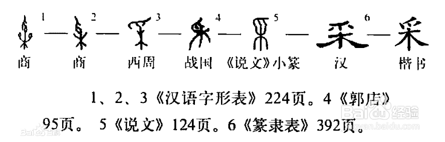 采字的演变图片