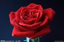 七夕情人节，送你最好的礼物