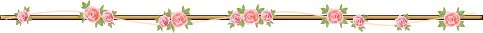 【小胖妙招】3日排毒餐9天轻6斤~