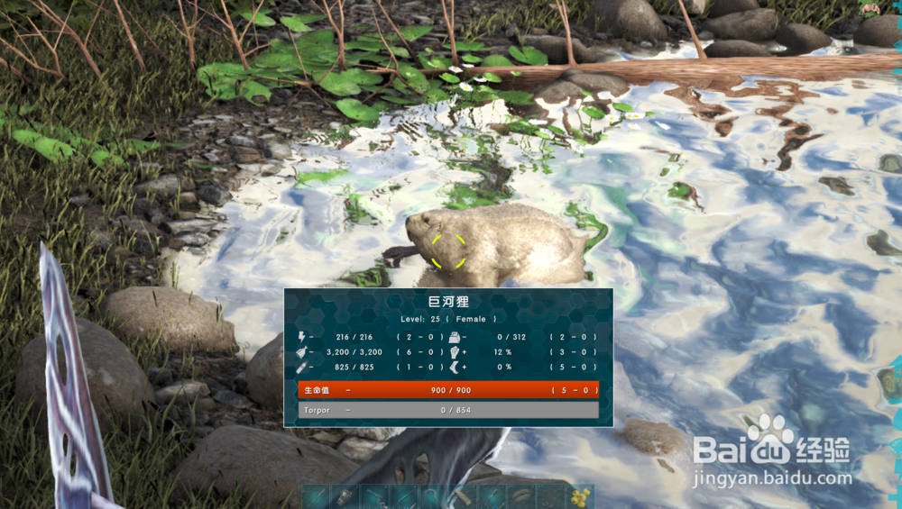 方舟河狸怎么驯服