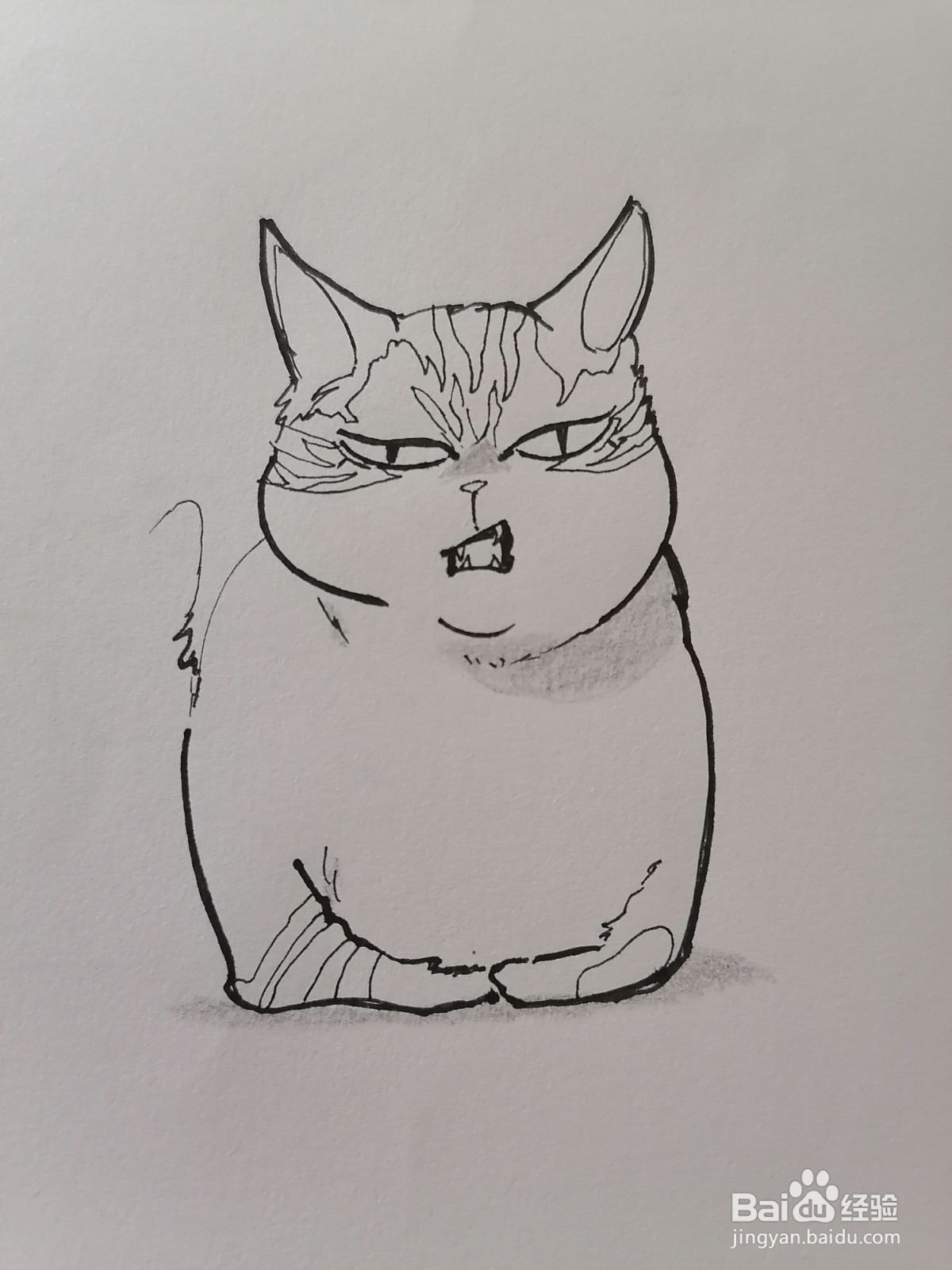 猫猫爱挡路简笔画