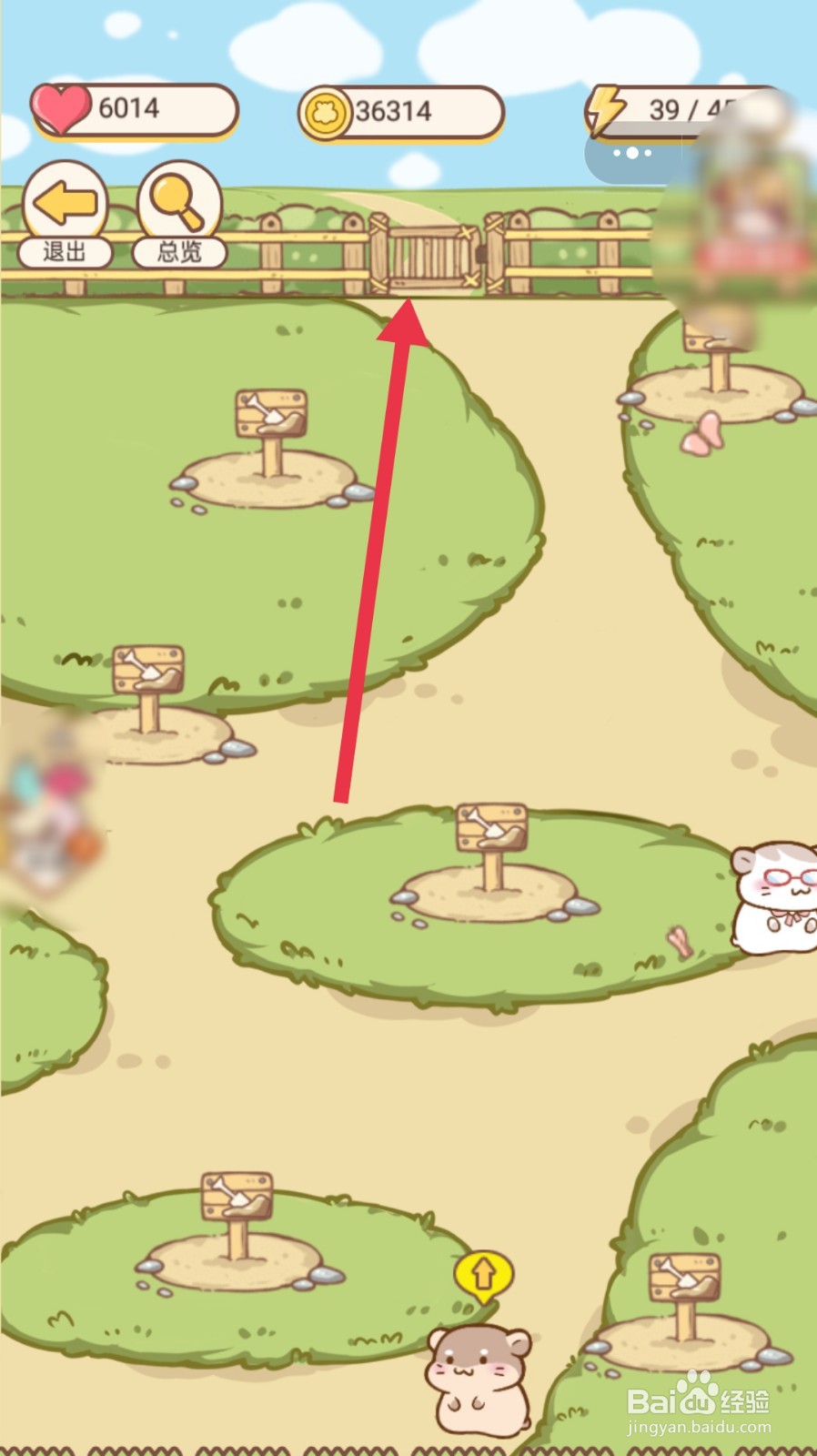 仓鼠公寓后院怎么建造