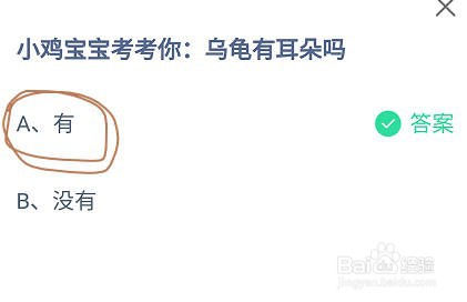 蚂蚁庄园乌龟有耳朵吗