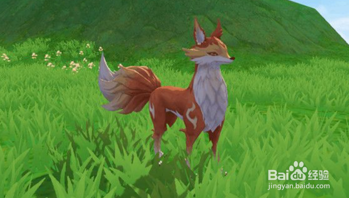 创造与魔法幼月狐饲料怎么做