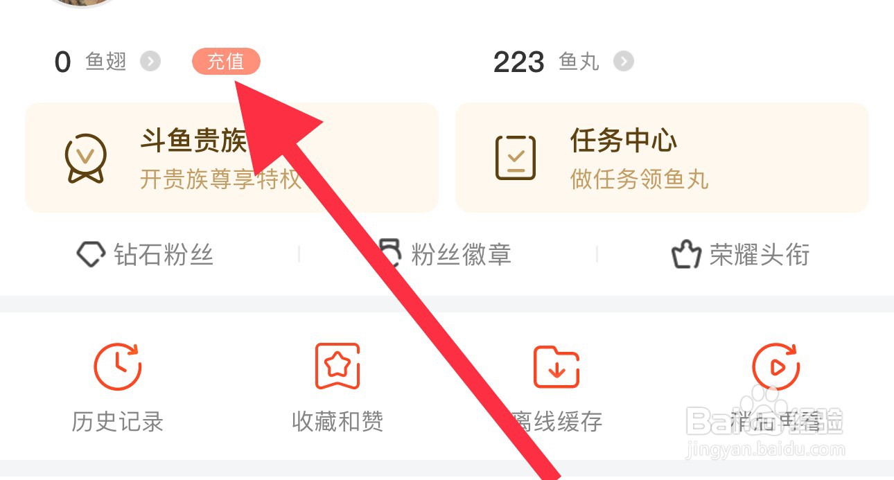 斗鱼怎么查看鱼翅充值