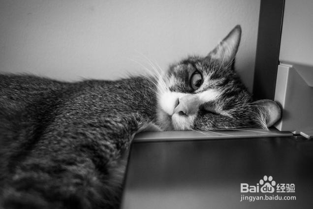 急性脑梗死一般住院流程是怎样的