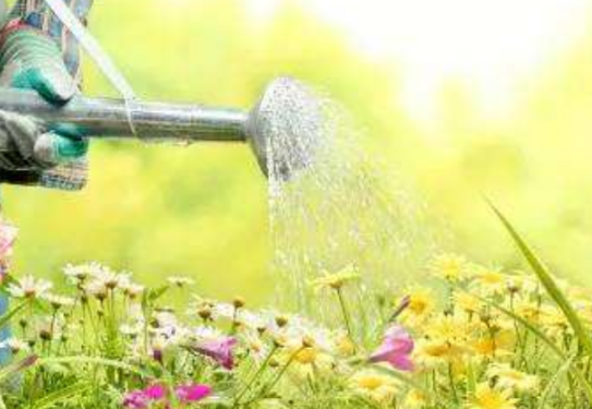 家里的花喷多菌灵对人有影响吗