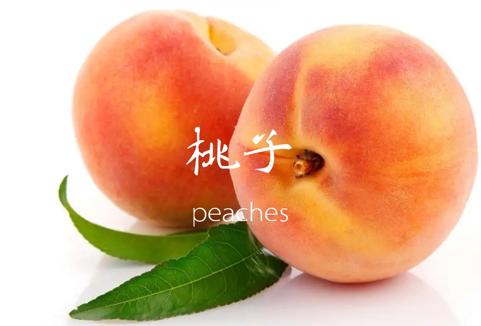peaches什么意思中文翻译