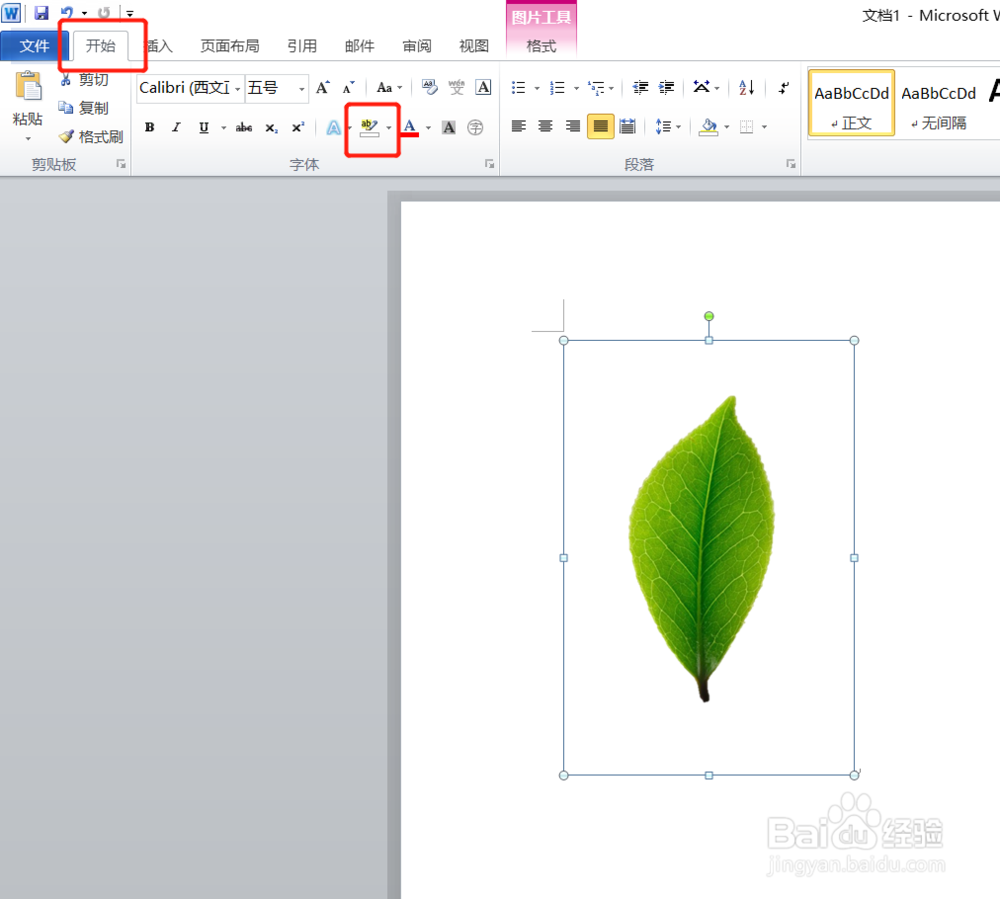 world文档改变图片背景office技巧