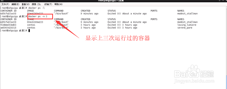 docker常用容器命令详解