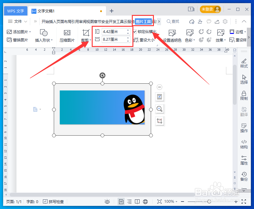 WPS文字怎么调整图片大小